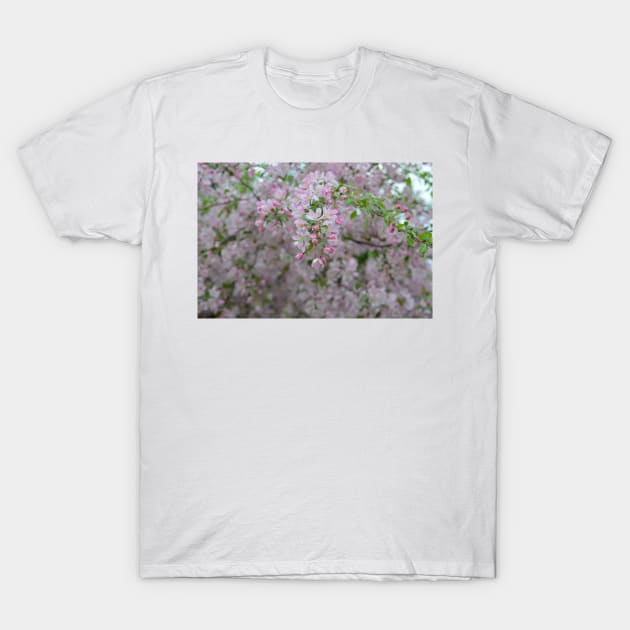 Pink Crab Apple T-Shirt by Drgnfly4free